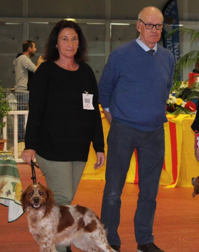 Des Petits Flamboyants - Exposition canine internationale de Martigues