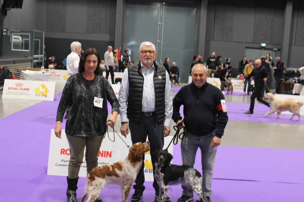 Des Petits Flamboyants - Exposition canine internationale de Montélimar