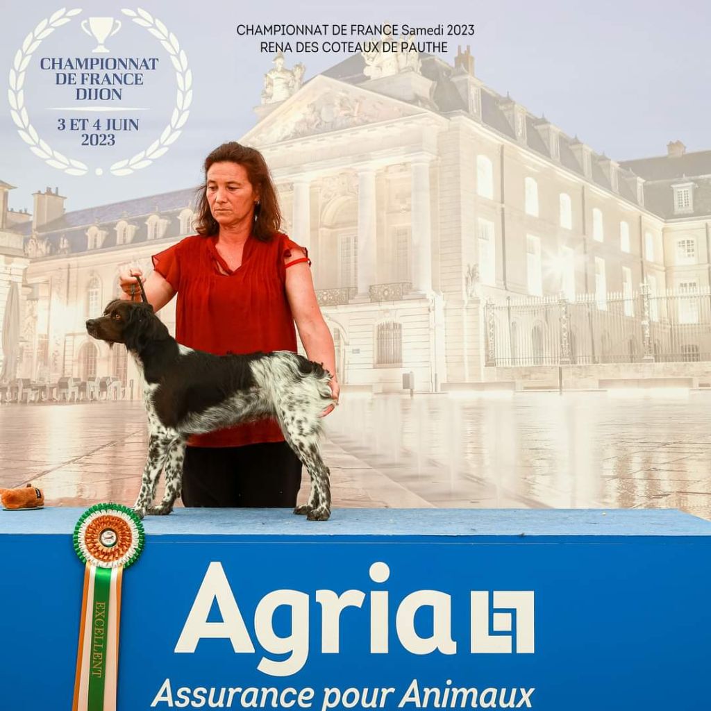 Rena Des Coteaux De Pauthe
