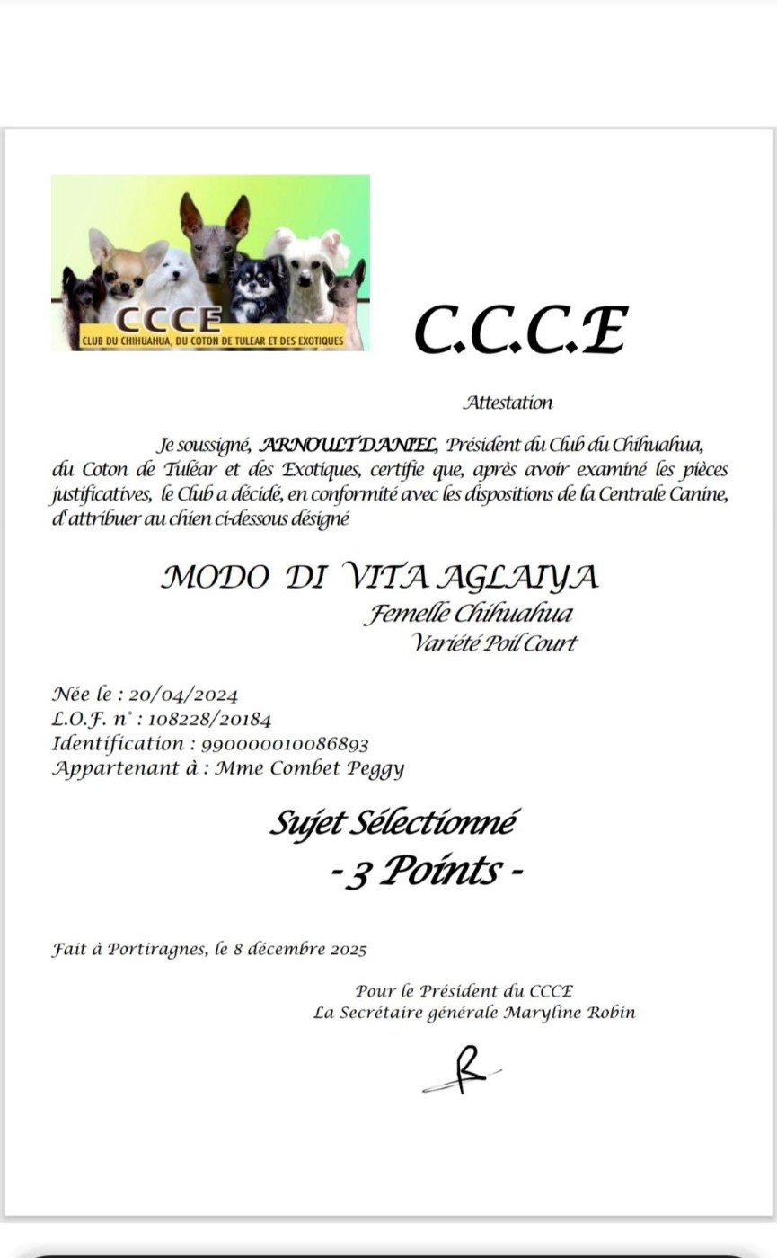 MODO DI VITA AGLAIYA