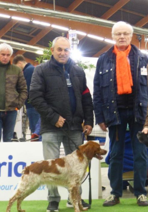 exposition canine nationale de perpignan